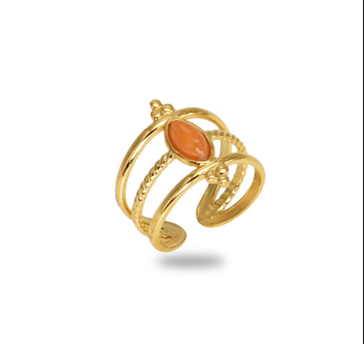 Clarisse - les precieuses