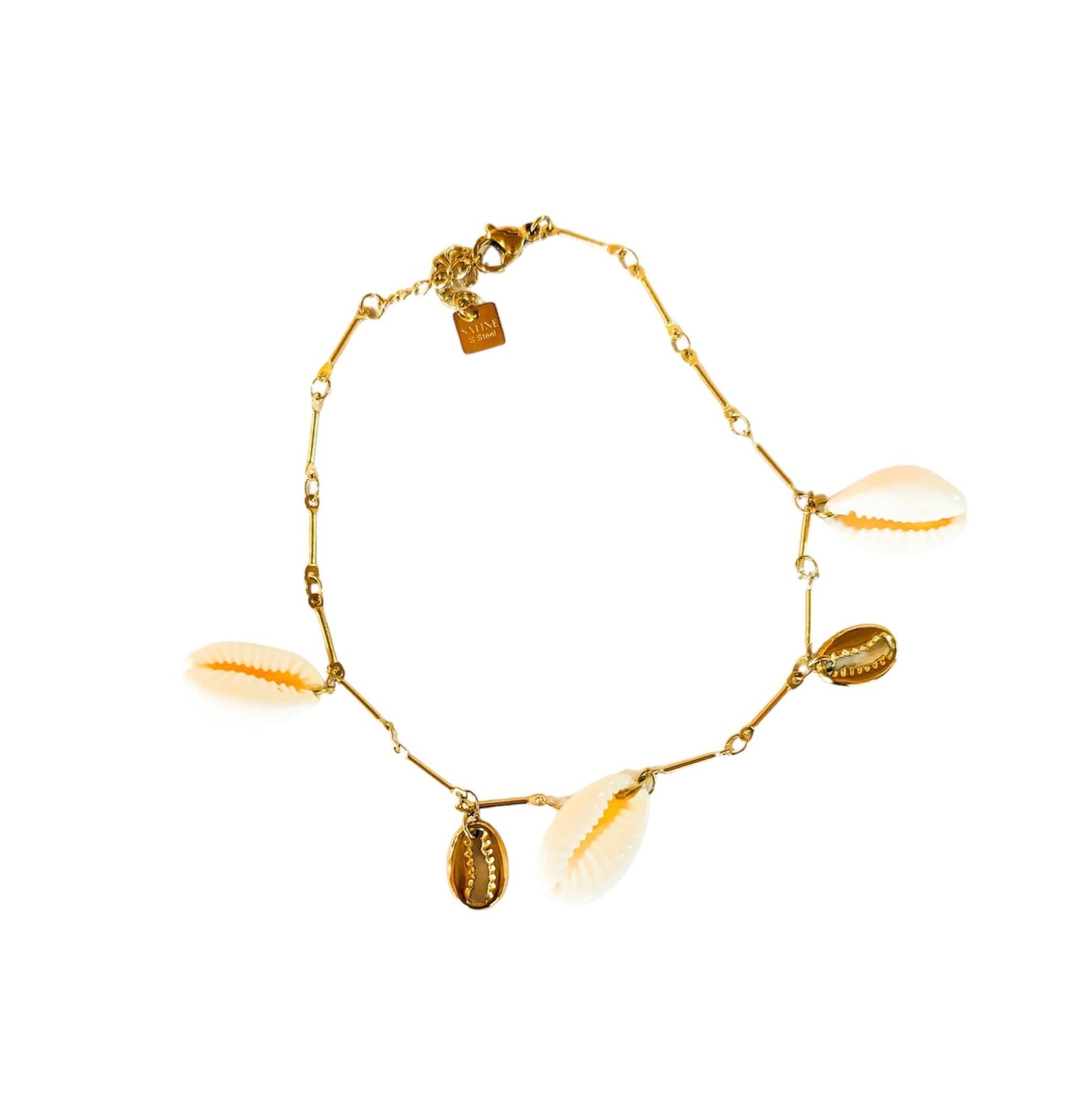 Coquillages - les precieuses