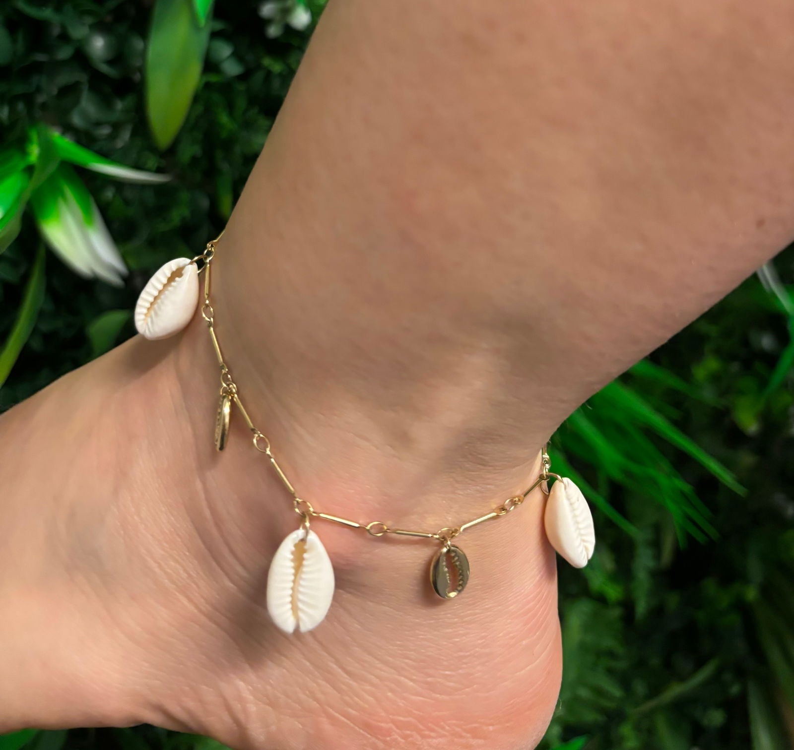 Coquillages - les precieuses