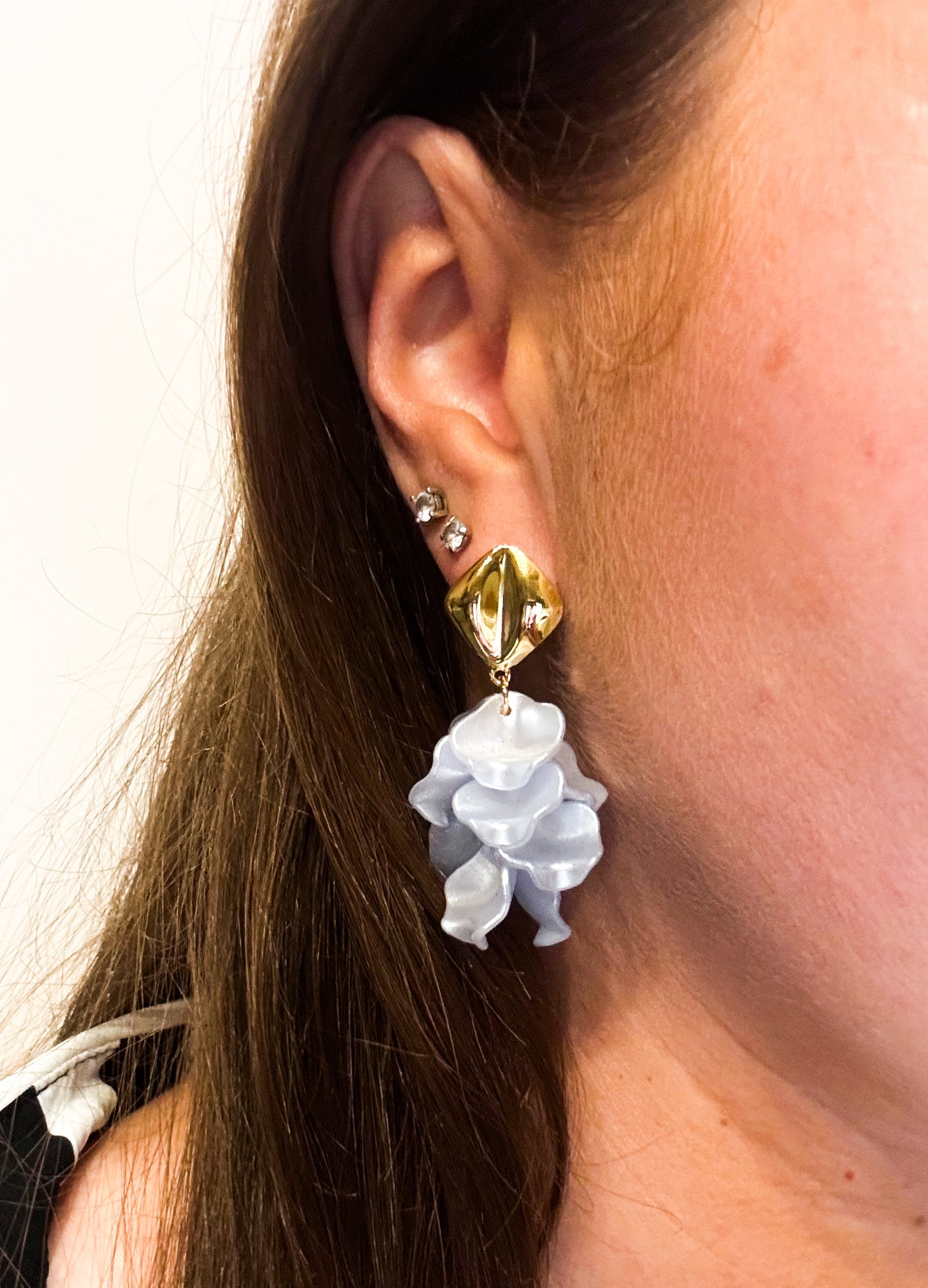 Pétales de rose les precieuses