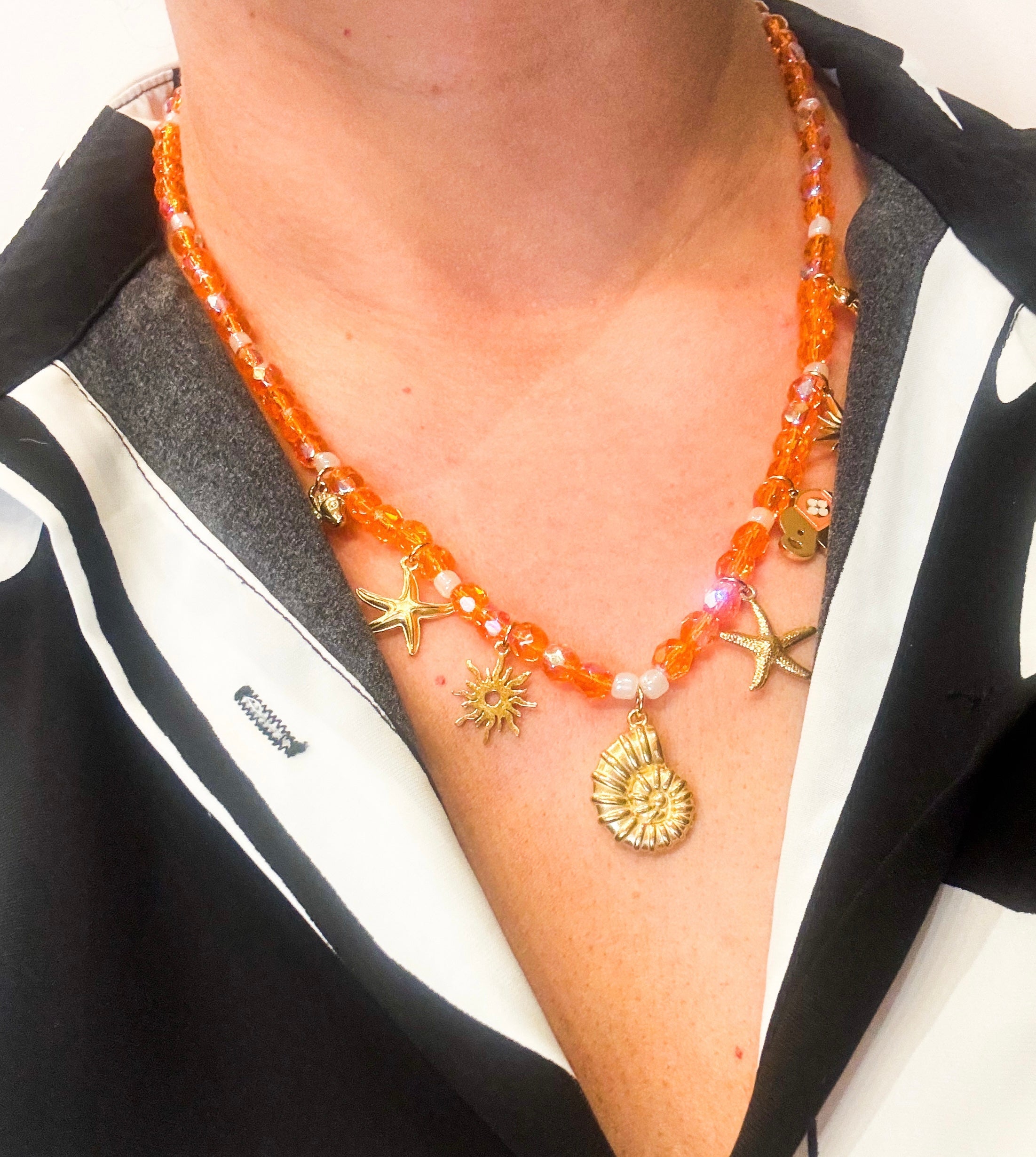 Coquillages les precieuses