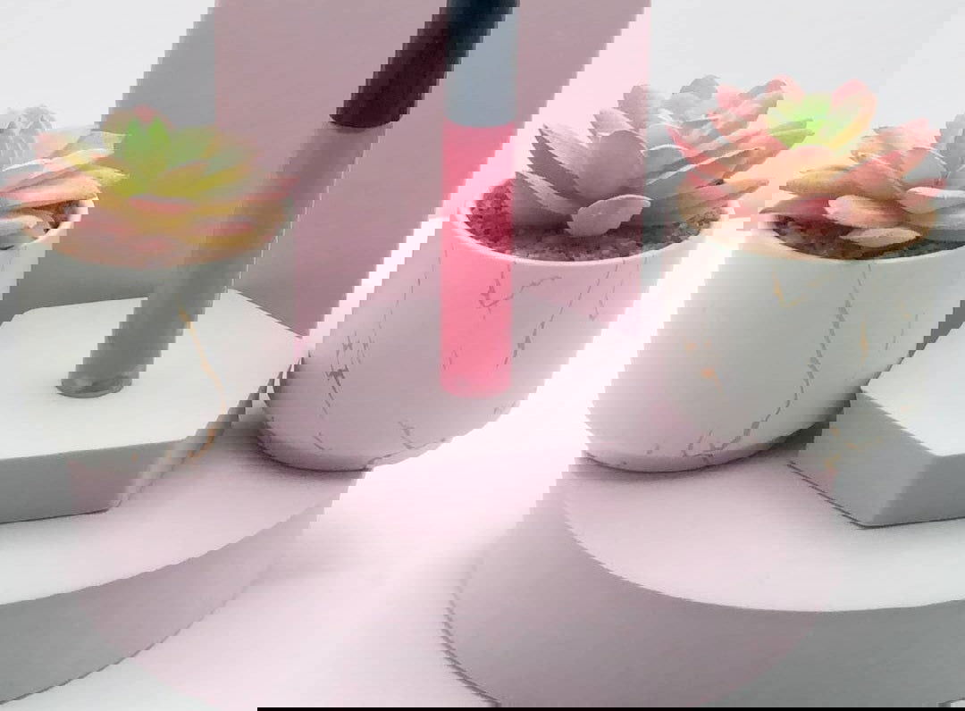 Gloss à lèvres Bubble Gum 10 ML - les precieuses