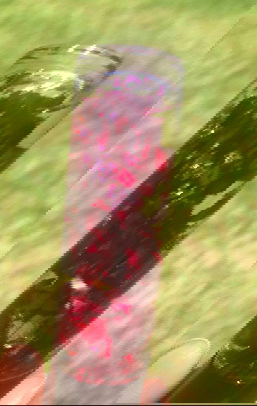 Huile à lèvres Aphrodite | Traitement à l'huile pour les lèvres marshmallow 10 ML - les precieuses