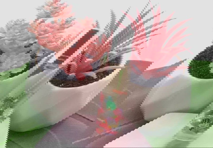 Huile à lèvres Bachelorette traitement à l'huile pour les lèvres à la noix de coco 10 ML - les precieuses