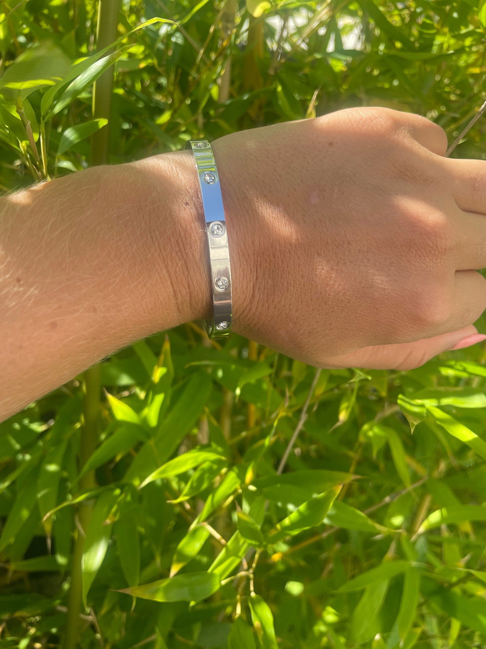 Lucia - les precieuses