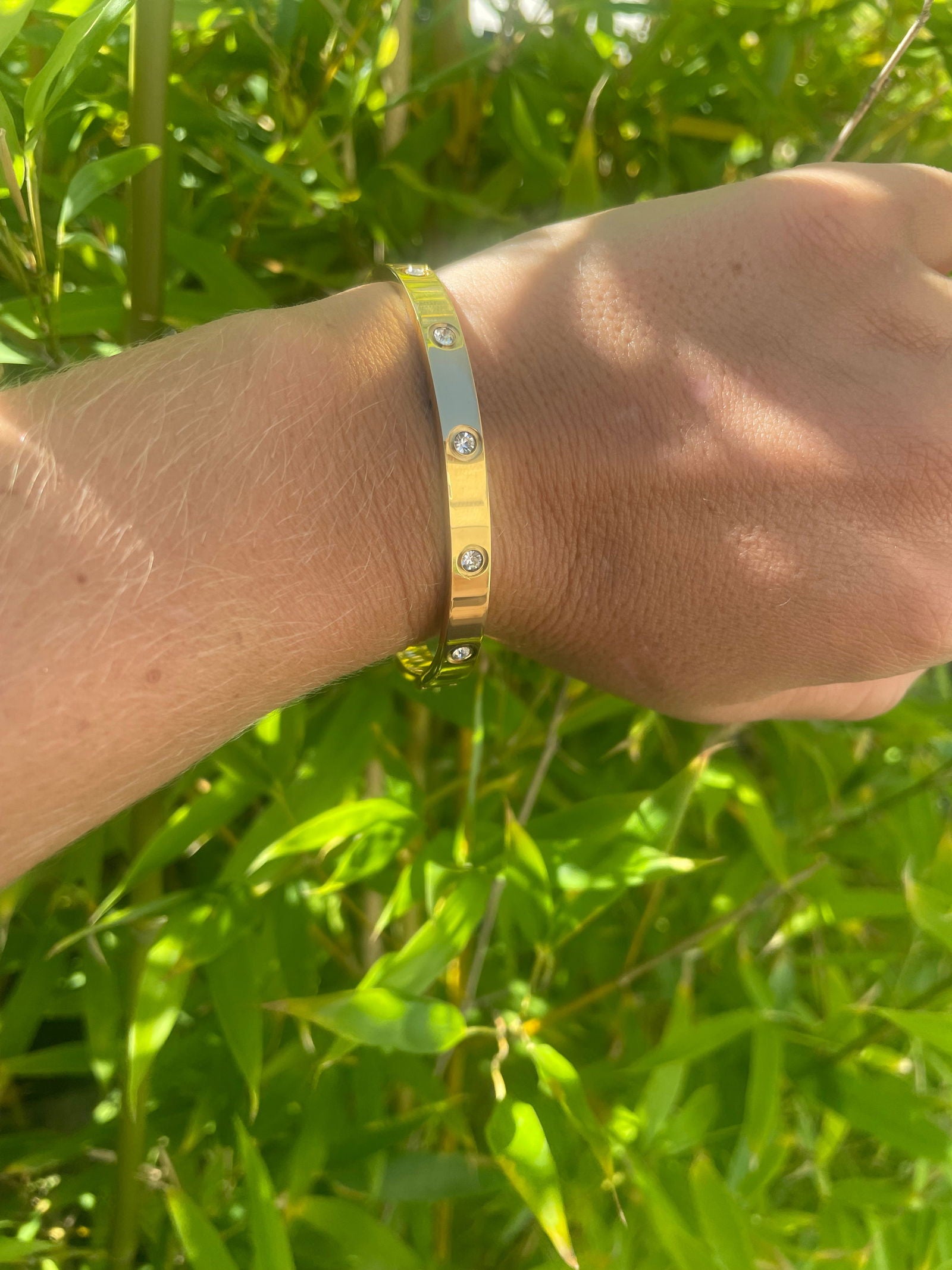 Lucia - les precieuses