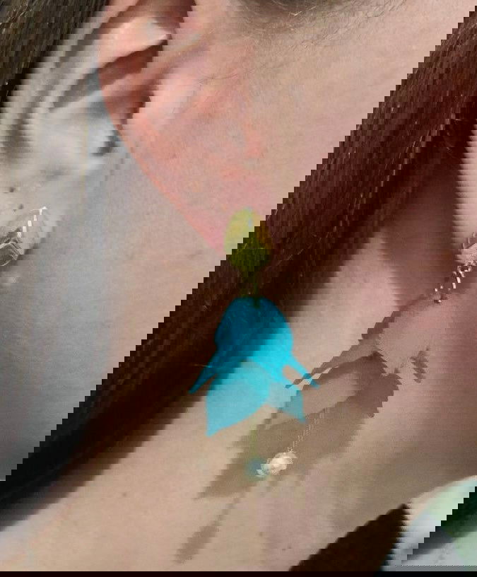 Lucilia - les precieuses