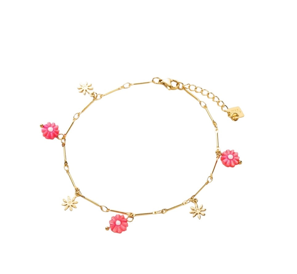 Marguerites rose - les precieuses