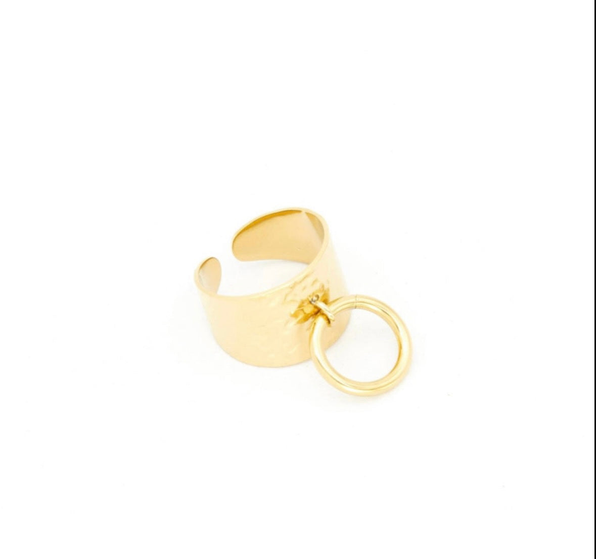 Sacha - les precieuses