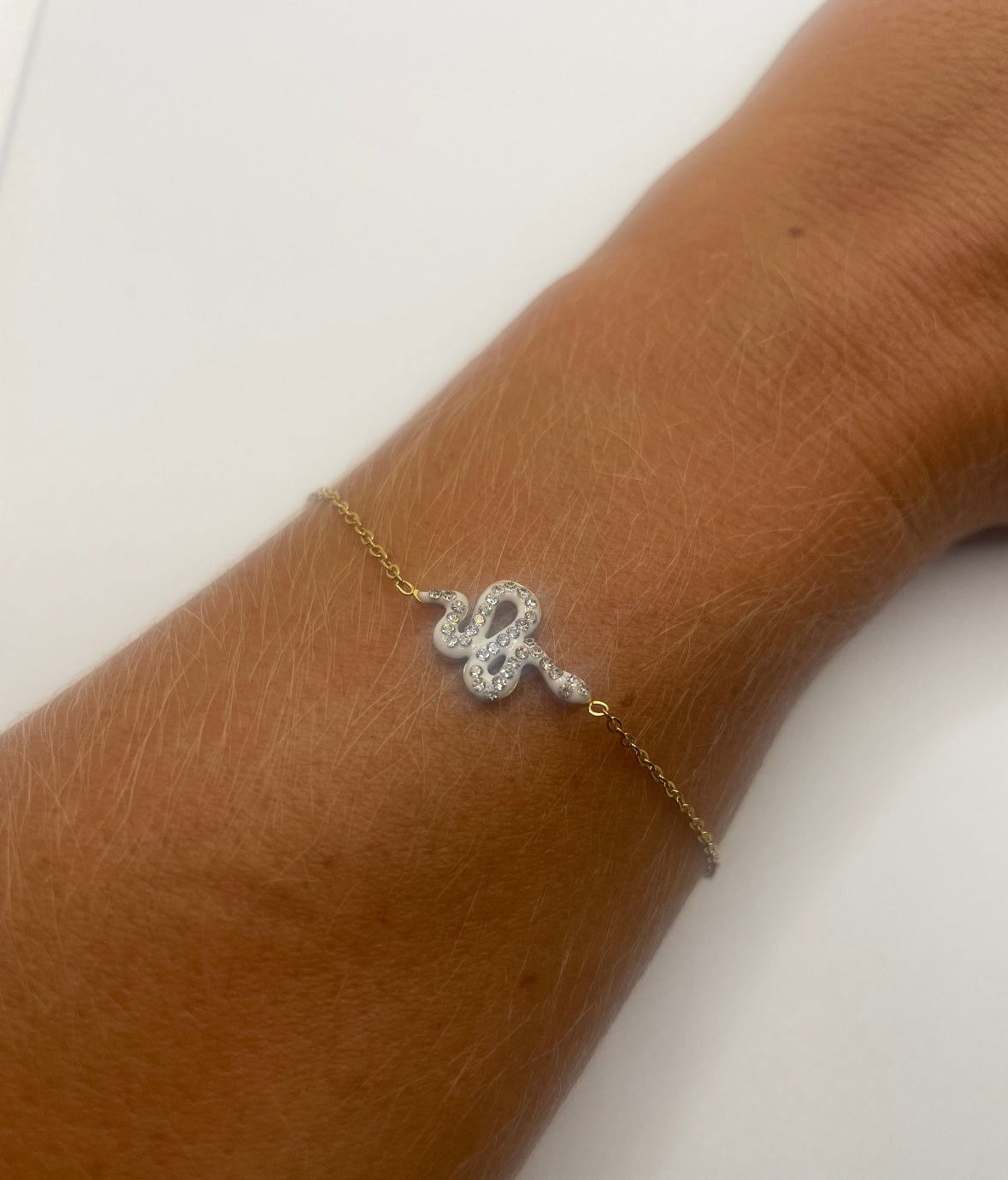 Snake - les precieuses