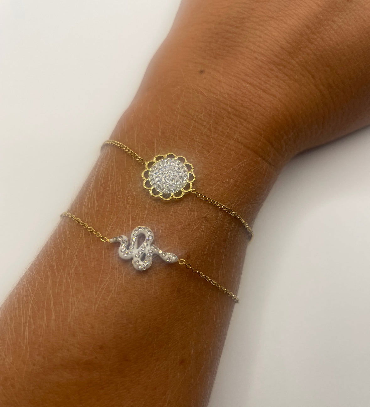 Snake - les precieuses