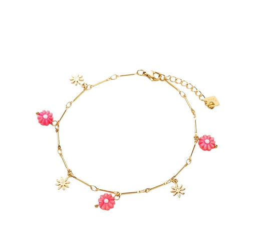 Marguerites rose - les precieuses